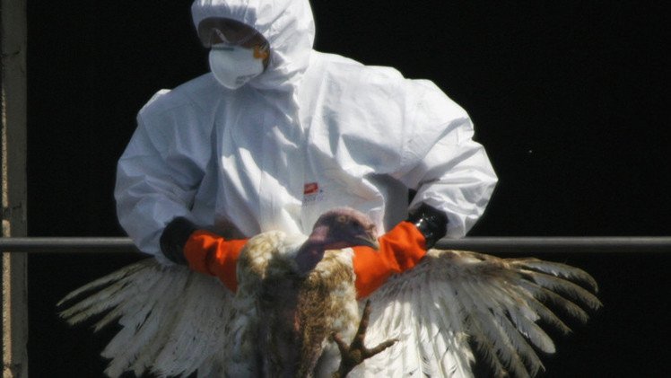 البنك الدولي يقلص توقعاته حول الأضرار الاقتصادية لوباء "إيبولا" على إفريقيا