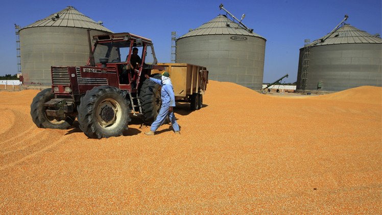 مصر توقع اتفاقا مع السودان لتخزين وتداول مليون طن من الحبوب