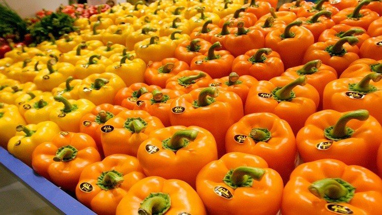 روسيا تمنع الفلفل الإسرائيلي من دخول أراضيها