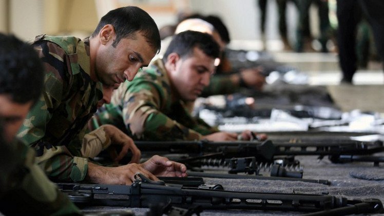 الحكومة الألمانية تقر إرسال بعثة عسكرية لتدريب الأكراد شمالي العراق