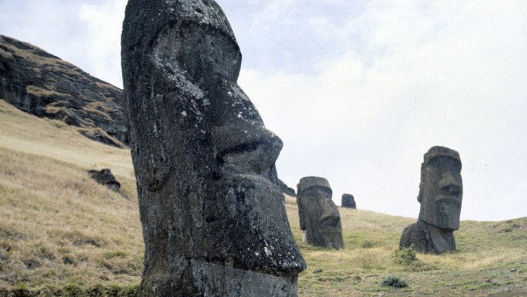 البطاطا الحلوة تدمر حضارة جزيرة إيستر