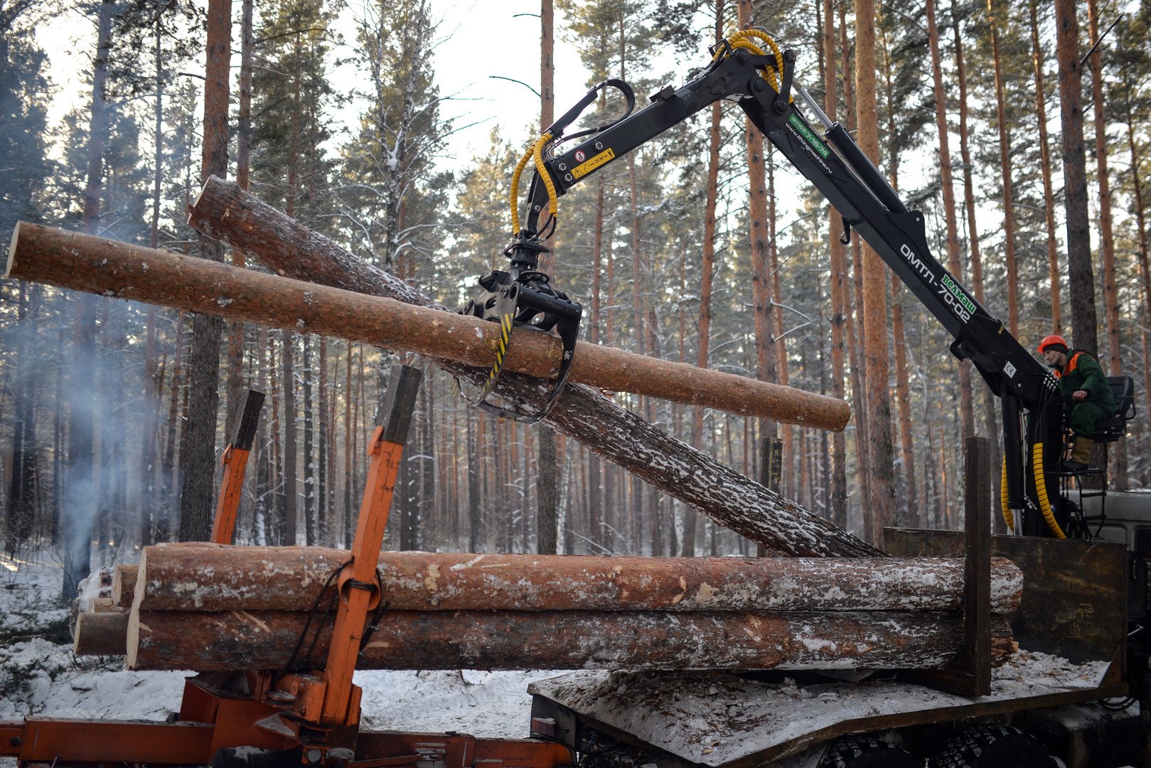 فنلندا هي أكبر مشتر للخشب الروسي بين دول الاتحاد الأوروبي 
