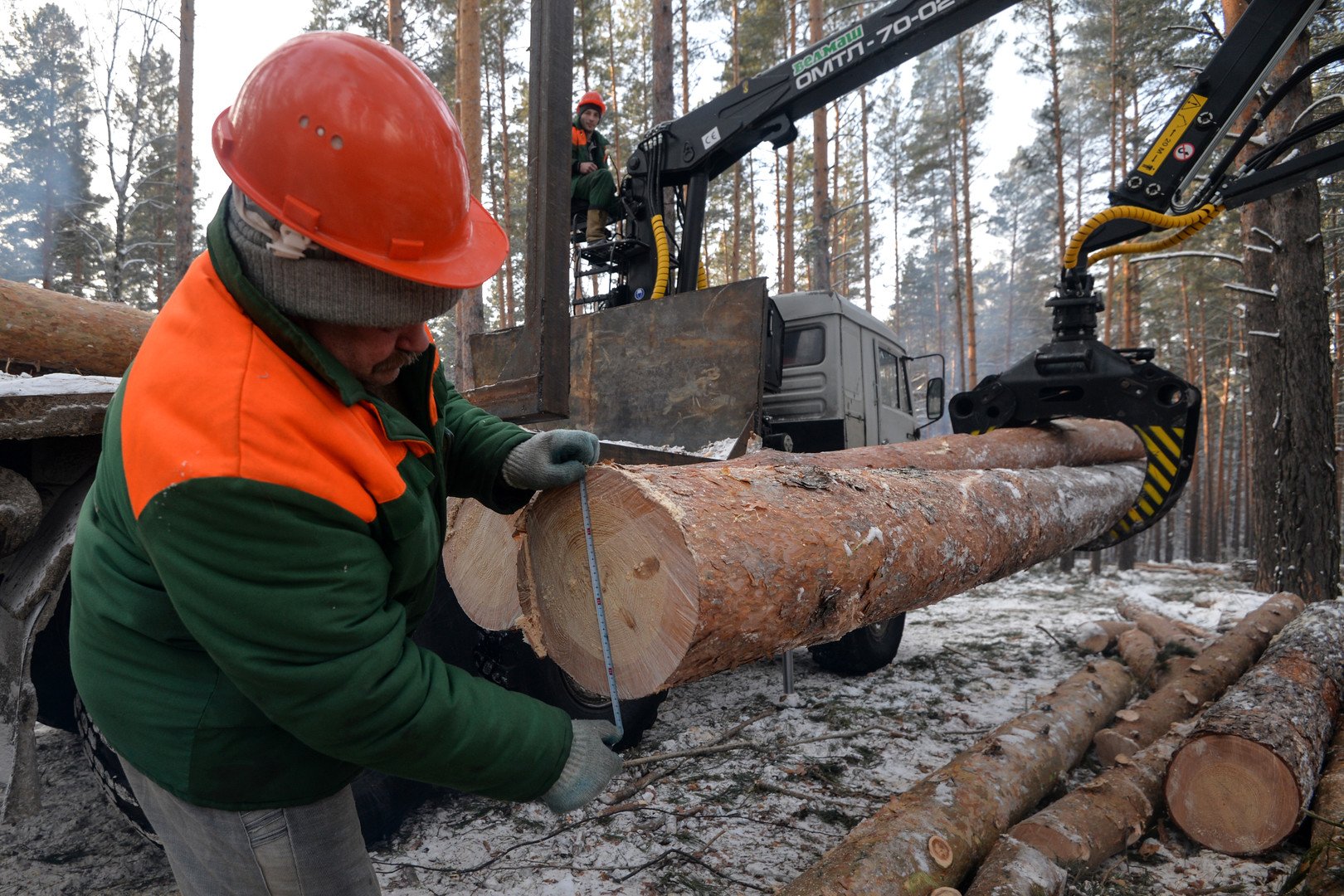 تسعى روسيا لتطوير وتشجيع الصناعات الخشبية وتقليص صادرات الأخشاب الخام