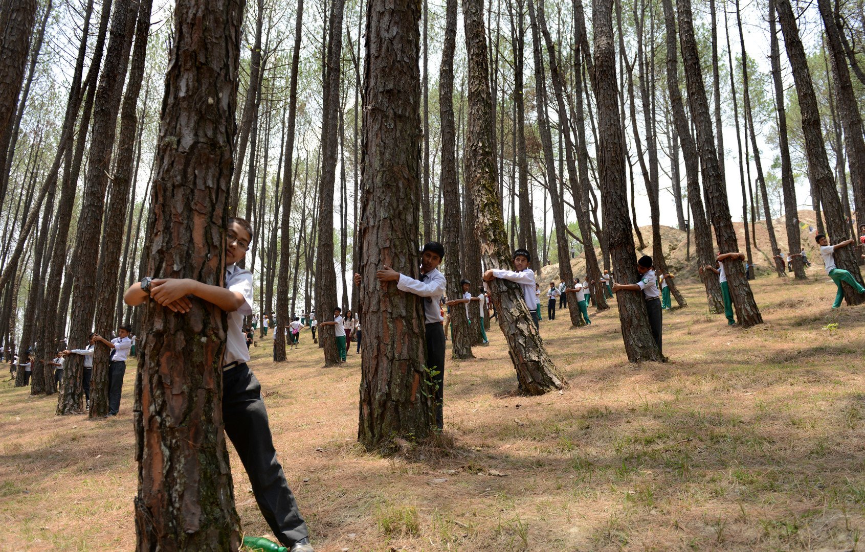 أطفال من نيبال يحتضنون الشجر في يوم البيئة العالمي لتحقيق رقم قياسي جديد، 5 يونيو/حزيران 