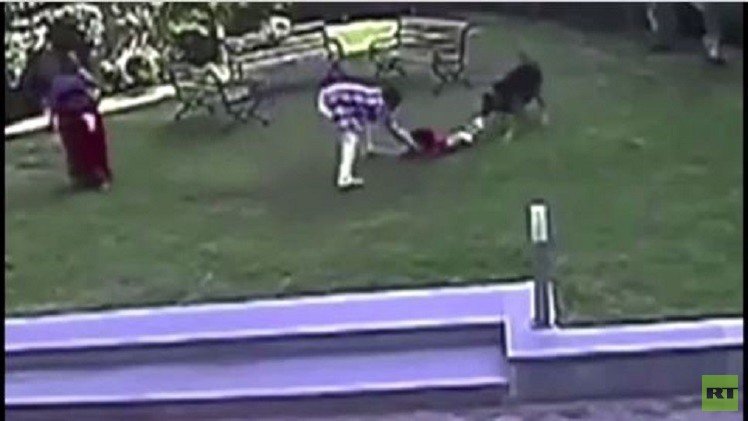 رضيعة تتعرض لاعتداء كلب في حديقة عامة (فيديو)