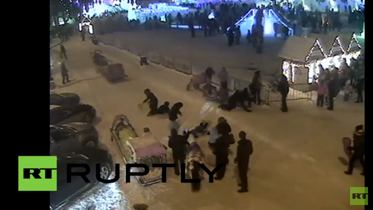 بالفيديو.. حصان يسقط امرأتين أرضا