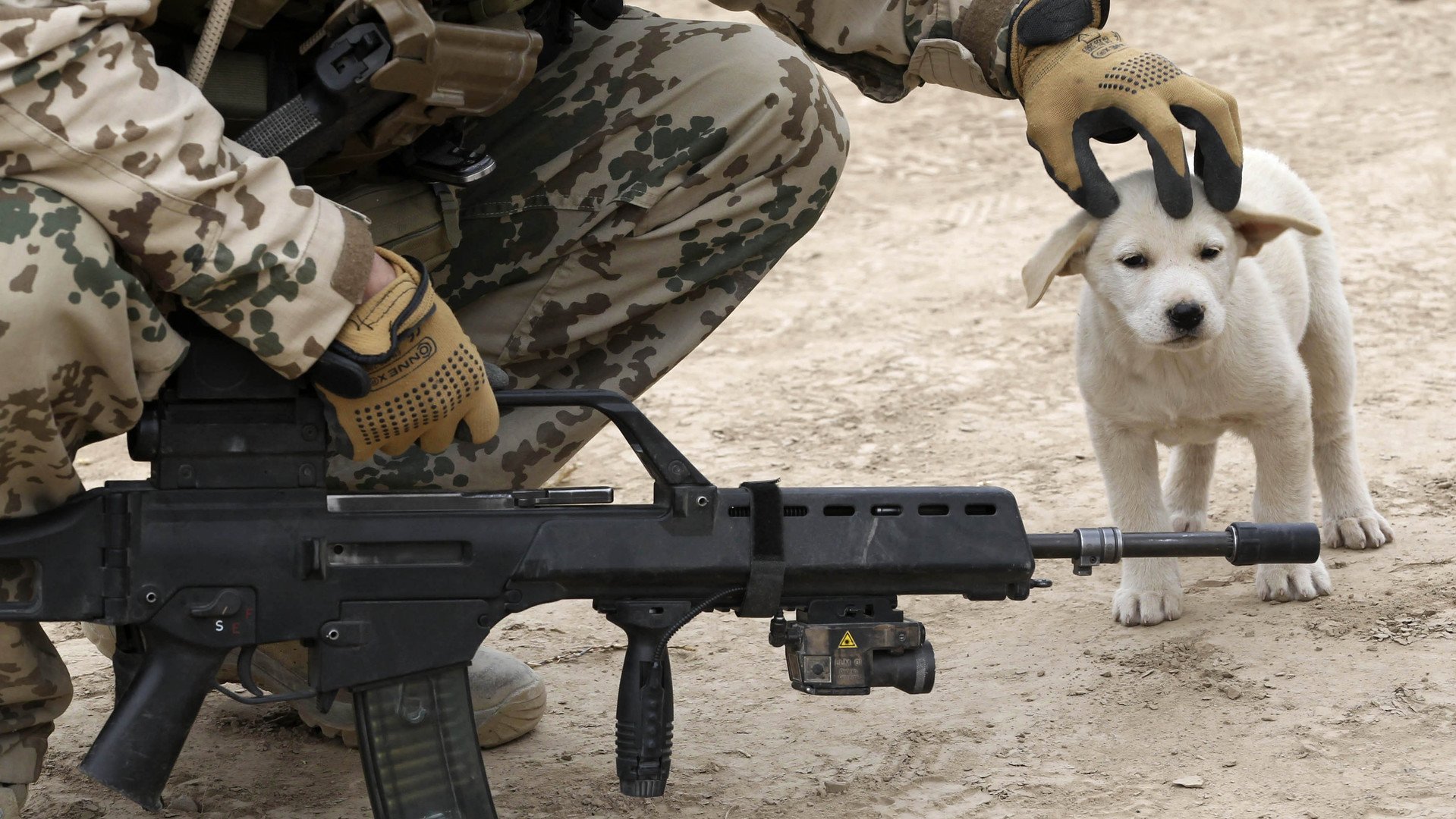 جندي من الجيش الألماني يربت على رأس كلب خلال مهمة بمدينة شمال أفغانستان 6 ديسمبر/كانون الأول 2010 