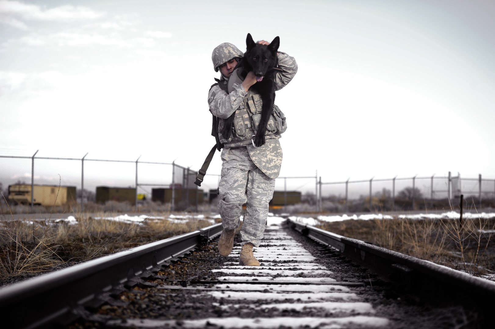 كلب يخدم  في القوات الجوية الأمريكية خلال أحد التدريبات بولاية يوتا، 4 مارس 2011