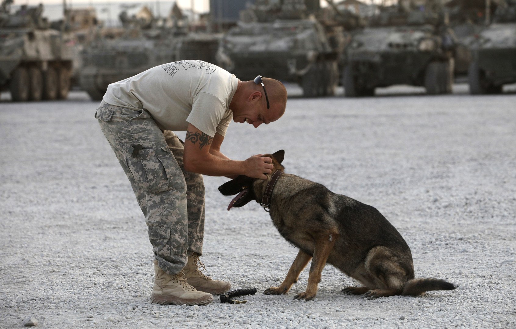 جندي كرواتي يداعب أحد الكلاب المدربة لأغراض عسكرية، قندهار، أفغانستان، 26 يونيو 2011