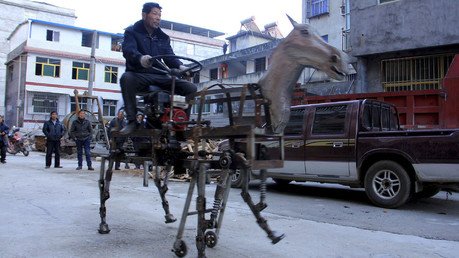 مزارع صيني على ظهر حصانه المصنوع يدويا في شوارع مدينة شيان ، 18 يناير/كانون الثاني 2015  