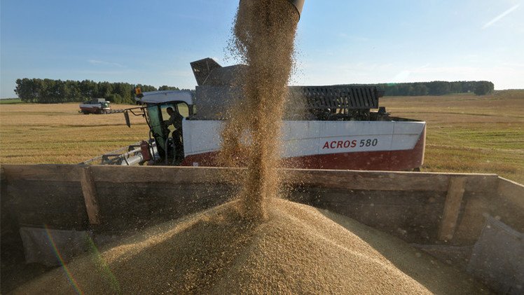 روسيا صدرت 1.7 مليون طن من الحبوب الشهر الماضي