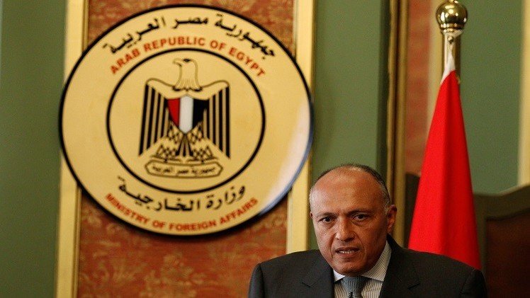 الخارجية المصرية: على أنقرة ألا تحشر أنفها في شؤون الآخرين