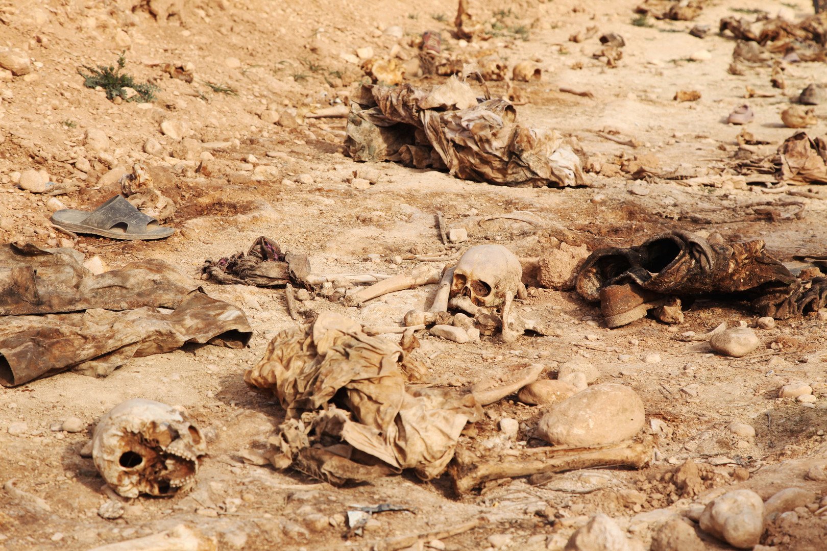 تزايد أعداد المقابر الجماعية في العراق
