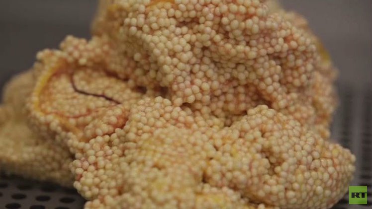 بالفيديو... أغلى كافيار في العالم