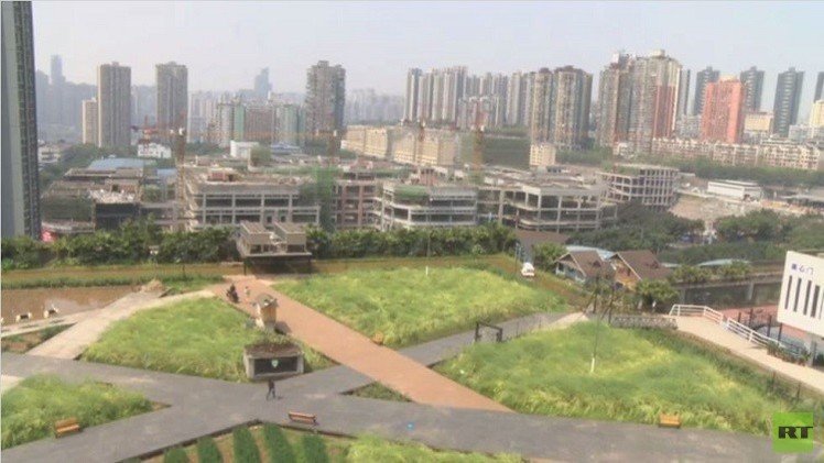 مزارع فوق السطوح لحل مشاكل الزراعة في الصين (فيديو)