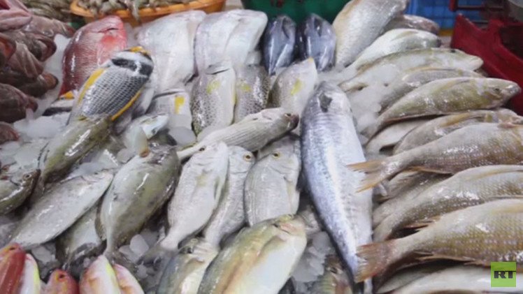 ثروة الإمارات السمكية مهددة