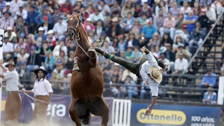 بالصور.. مهرجان "غاوتشو" لترويض الخيول