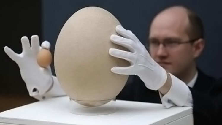 بيضة نادرة لطائر الفيل العملاق ربما تحقق أكثر من 70 ألف دولار في مزاد بلندن