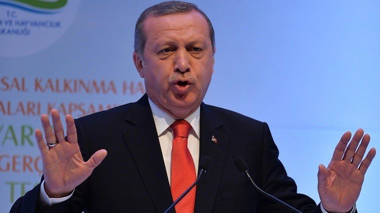 أردوغان يريد رئاسة تنفيذية في تركيا 