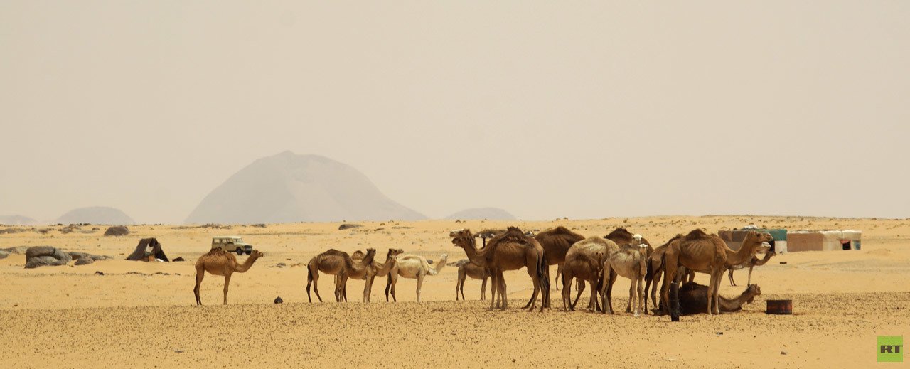 لقطات من رحلة الأخوين سينيلنيك 