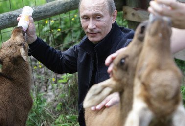 رئيس الحكومة الروسية فلاديمير بوتين يزور محمية "لوسيني أوستروف" الوطنية بشمال شرق موسكو