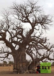 لقطات من رحلة الأخوين سينيلنيك 