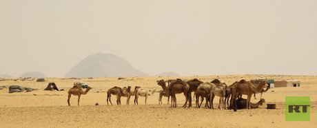 لقطات من رحلة الأخوين سينيلنيك 