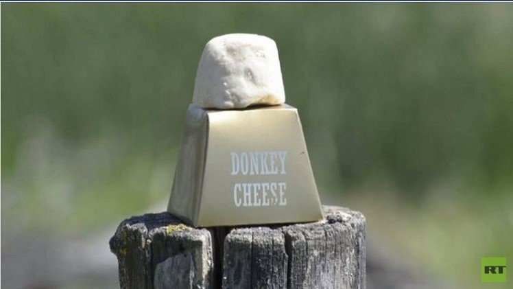 كيلوغرام من جبنة الحمير يساوي ألف يورو (فيديو)