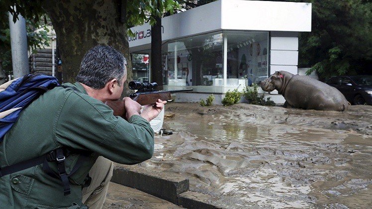 موسكو تعرض على جورجيا المساعدة  لتجاوز آثار الفيضان (فيديو)