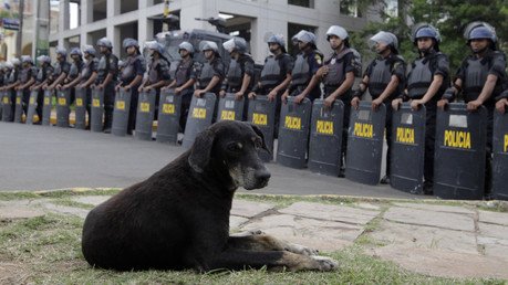 كلب يجلس قبالة قوات مكافحة الشغب خلال إحدى المظاهرات أمام مبنى البرلمان في باراغواي، 26 مارس 2014  