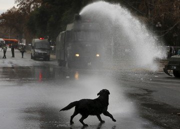 كلب يجري أمام سيارة الشرطة خلال فض مظاهرات الطلاب لإصلاح نظام التعليم في سانتياغو تشيلي 9 يونيو 2015