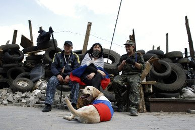 كلب ملفوف بالعلم الروسي مع المتظاهرين الموالين لروسيا في مدينة دونيتسك، شرق أوكرانيا 23 أبريل 2014  