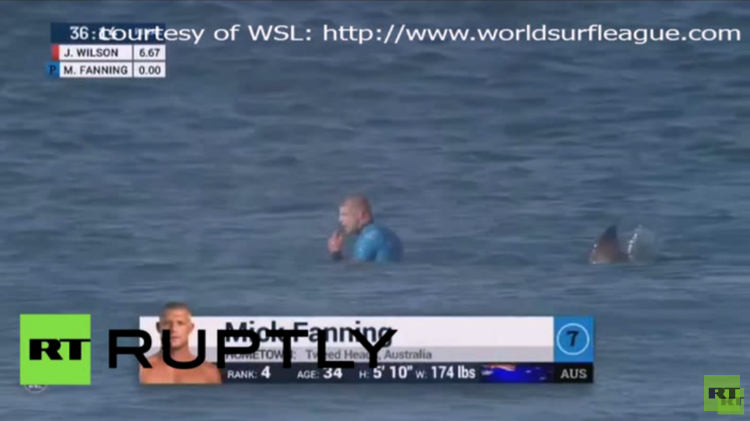 فيديو .. سمكة قرش تهاجم بطل العالم لركوب الأمواج