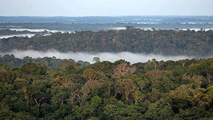 حوض نهر الأمازون كان منطقة مزدهرة سابقا