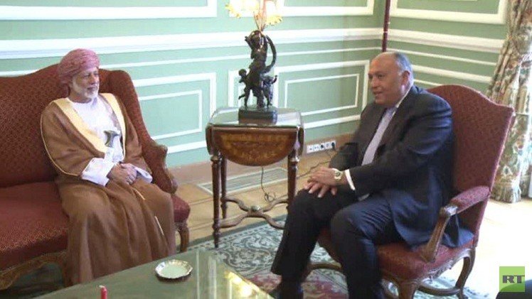 وزيرا الخارجية المصري والعماني في القاهرة 