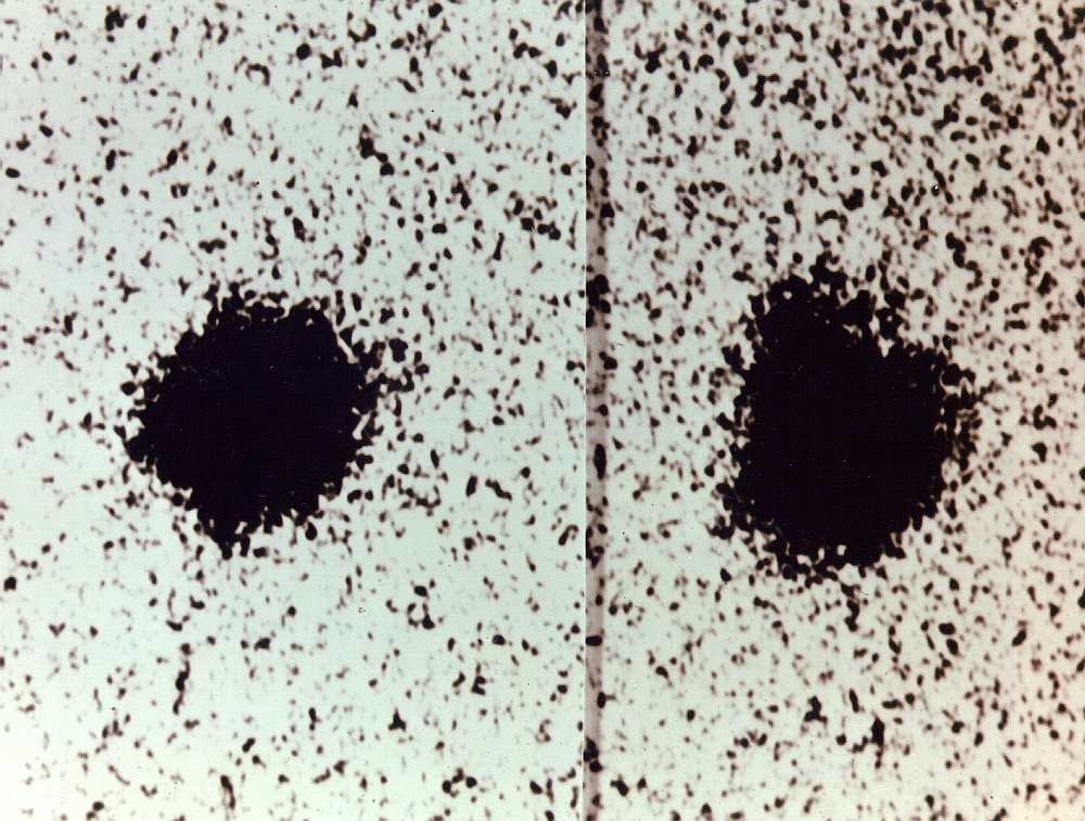 عام 1978 اكتشف جيمس كريستي وروبرت هارينغتون القمر شارون التابع للكوكب بلوتو  