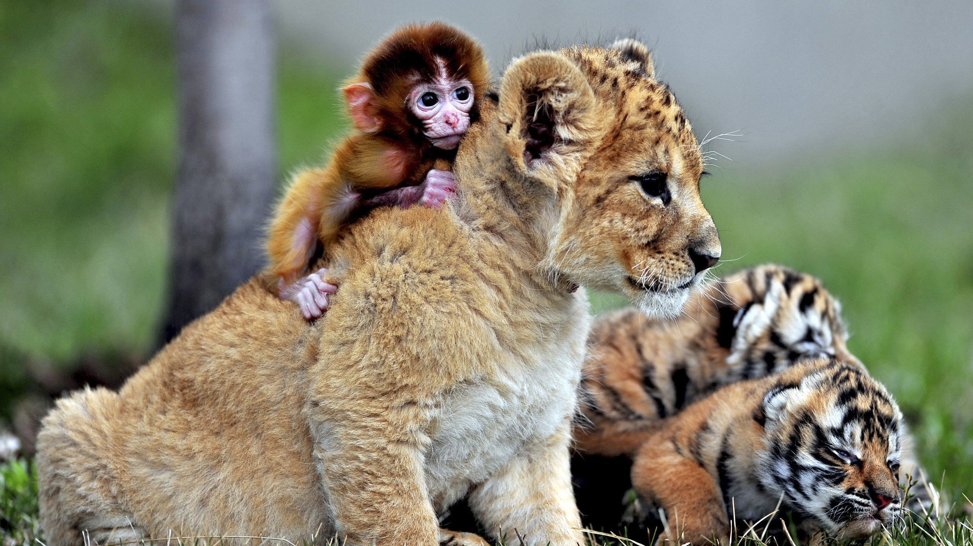 صداقة خارج الفطرة