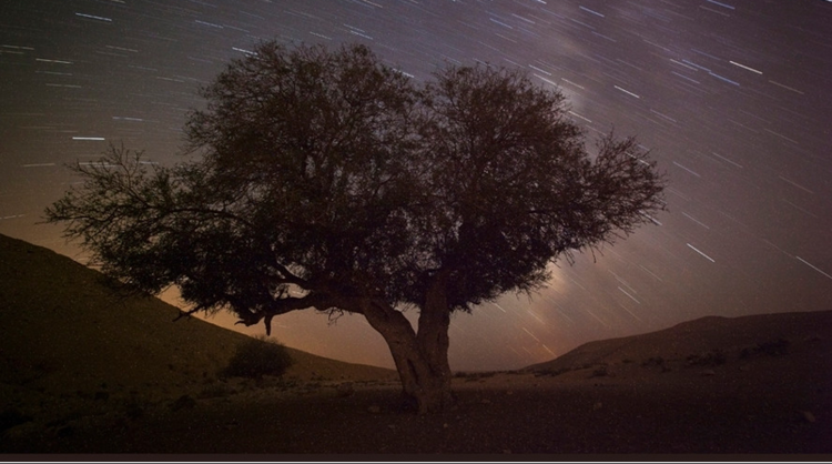 زخات شهب البرشاويات تبلغ ذروتها يوم 12 أغسطس الجاري
