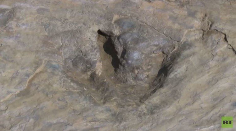 عالم متحجرات ألماني يكتشف آثار أقدام ديناصورات (فيديو)
