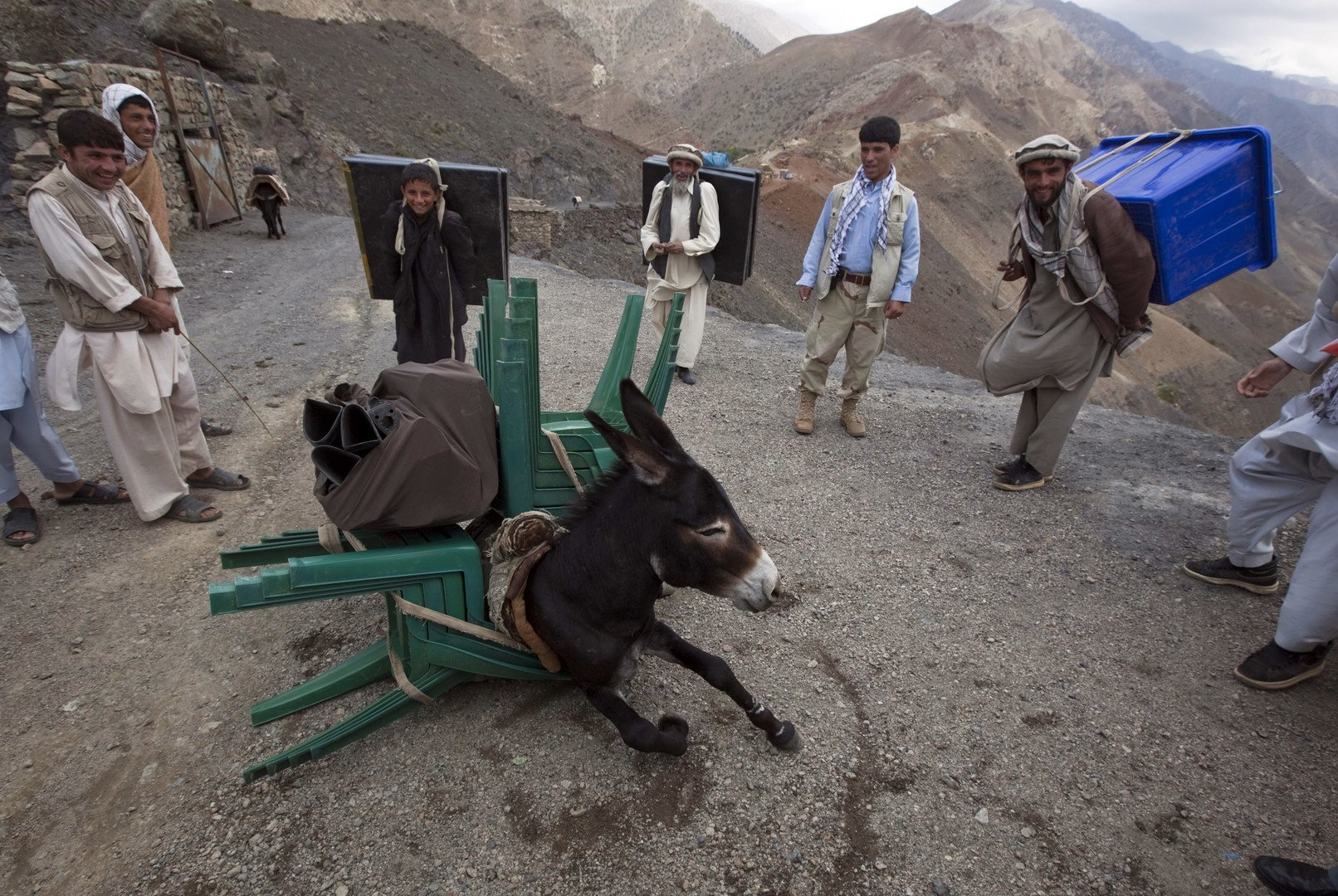 حمار يسقط من ثقل الحمولة الزائدة عليه من معدات  الانتخابات المختلفة، مدينة كابول، أفغانستان، 17 سبتمبر/أيلول 2010 