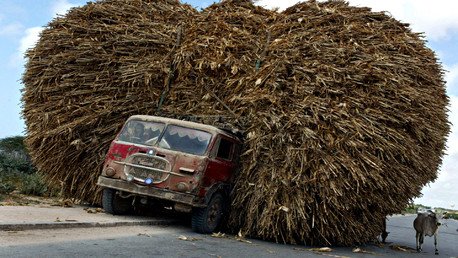 شاحنة صومالية محملة بمحصول الذرة في مدينة مقديشو، 24 سبتمبر/أيلول 2003 