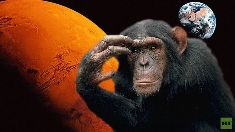 روسيا ترسل قرودا لرحلة إلى المريخ