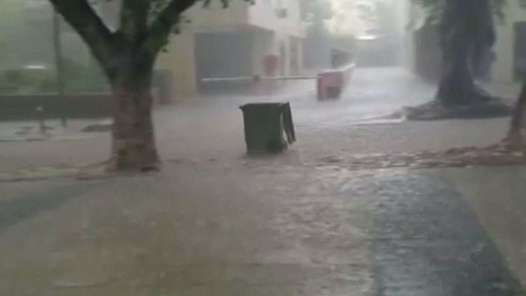 بالفيديو.. صناديق القمامة تحسن السباحة في شوارع إسرائيل