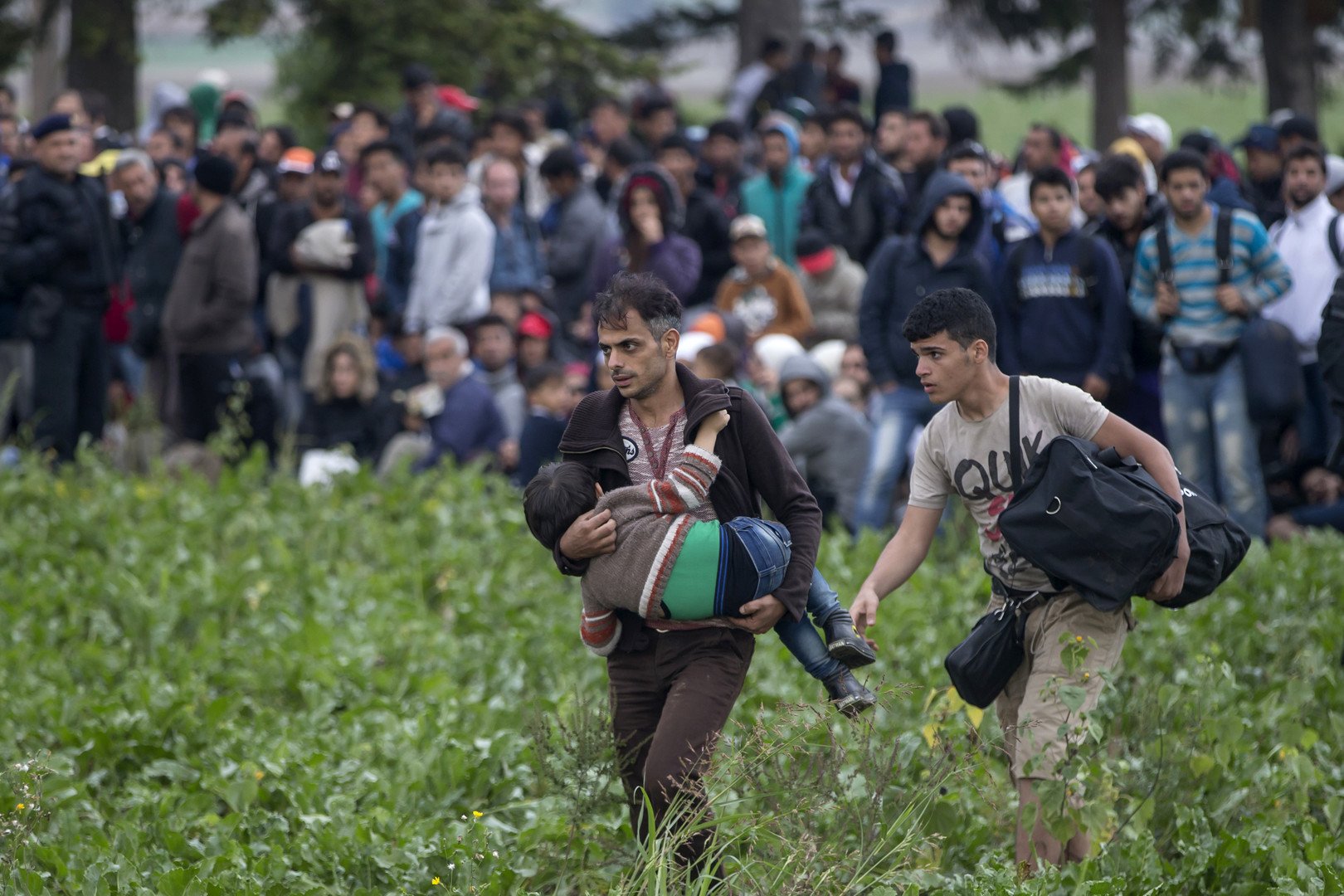 ألمانيا تترجم دستورها إلى العربية وهامبروغ تعلق استقبال اللاجئين