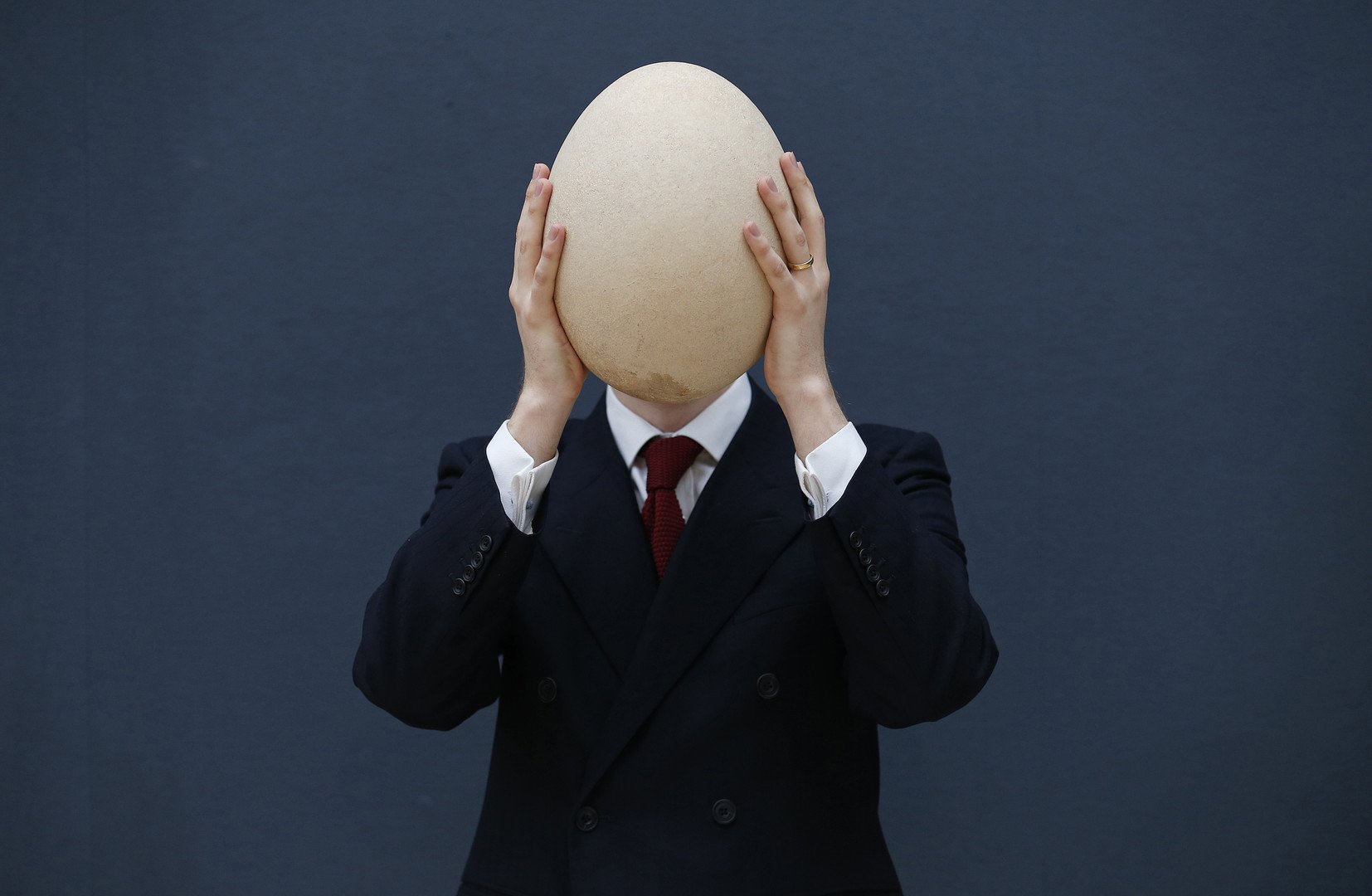 بيضة نادرة لطائر الفيل يعتقد أن عمرها أكثر من 400 عام تعرض للبيع في مزاد في لندن بسعر يقدر بـ 45 ألف دولار    