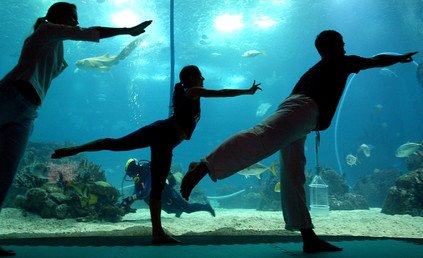 طلاب يوغا يمارسون رياضتهم أمام معرض للأسماك في لشبونة