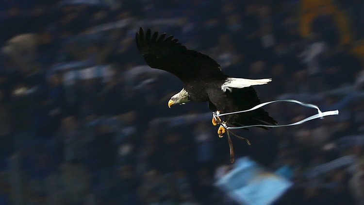 فيديو .. نسر لاتسيو يحلق عاليا في كأس إيطاليا