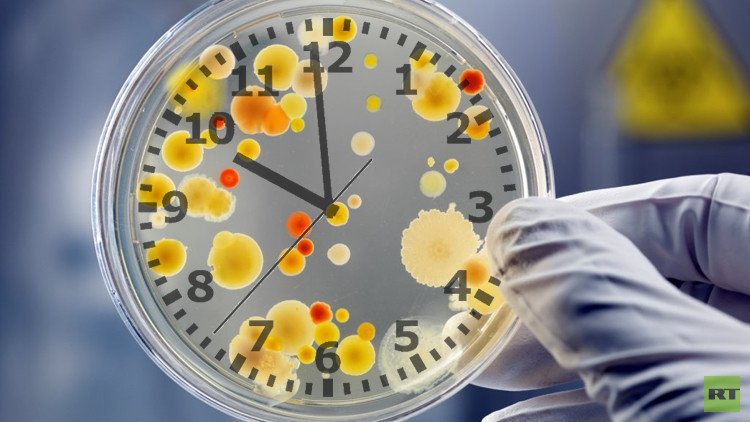 الساعة البيولوجية لباكتيريا تساعد على العلاج باستخدام مضادات الحيوية