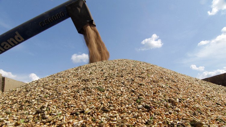 روسيا تزود سوريا بالقمح 