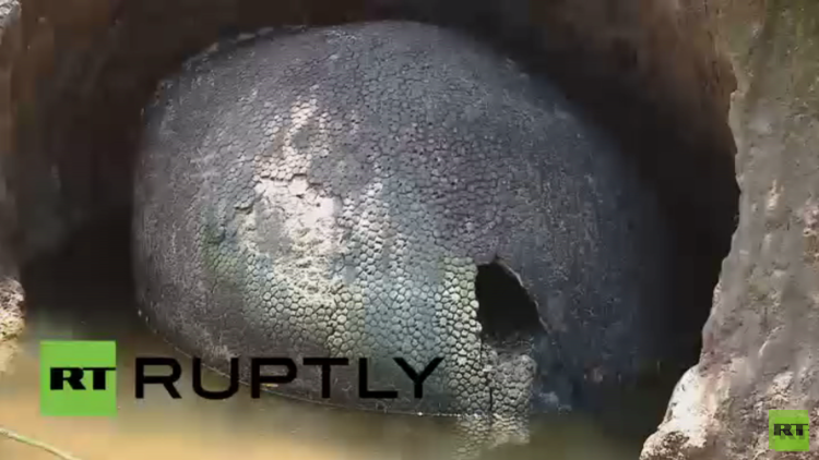 مزارع أرجنتيني يكتشف قطعة متحجرة عمرها 10 آلاف عام لحيوان المدرع (فيديو)